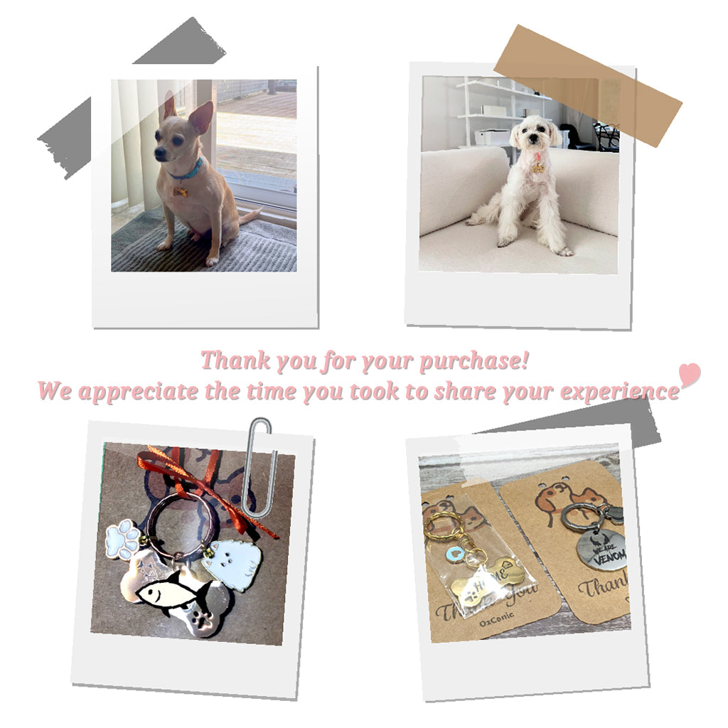 Personalized Bone Shape Pet ID Tag: Laser Engraved Stainless Steel Charm 4cm Medium Size