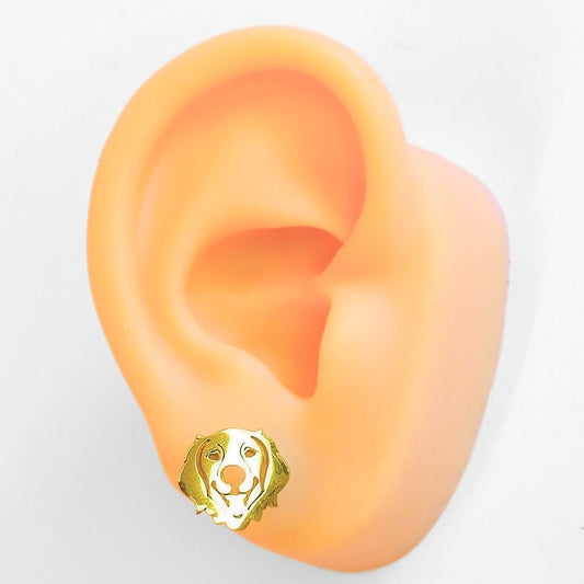 Golden Retriever Studs