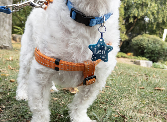 Personalized Star Shaped Pet ID Tag: Laser Engraved Stainless Steel Charm 3.5cm