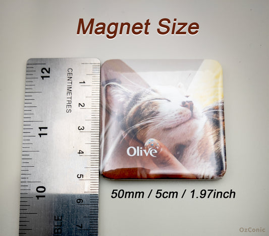 Customized 5cm(1.97inch) Square Photo, Pic Magnets, Display your precious memories here, Family, friends, furry friends, Characters, Art