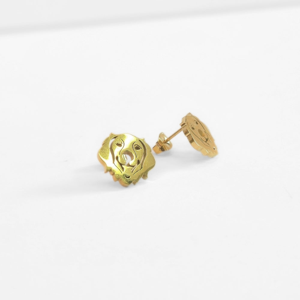 Golden Retriever Studs