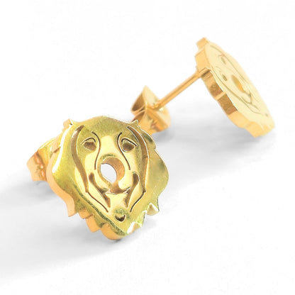 Golden Retriever Studs