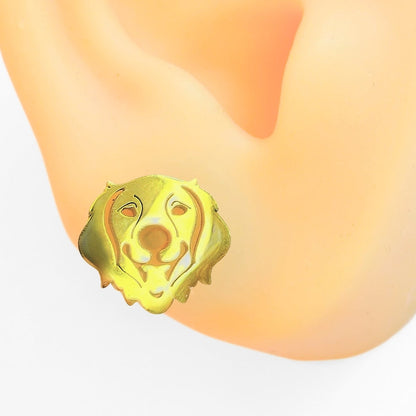 Golden Retriever Studs