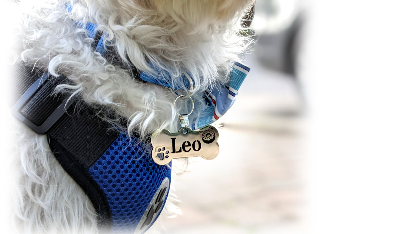 Personalized Bone Shape Pet ID Tag: Laser Engraved Stainless Steel Charm 4cm Medium Size