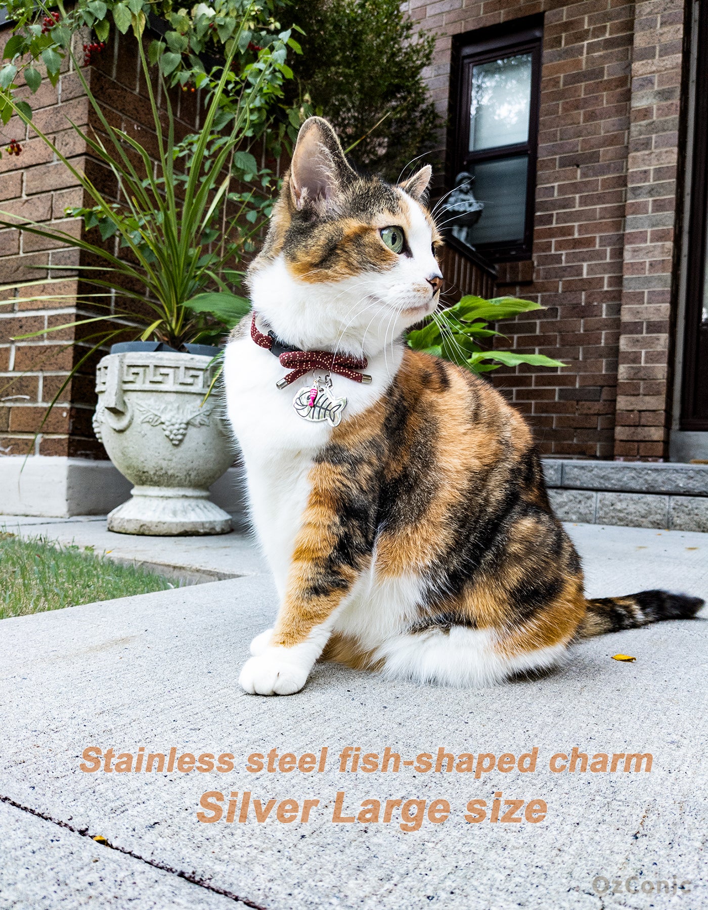 Personalized Cute Fish Shaped Charm Tag Pendant for You or Your Furry Friend