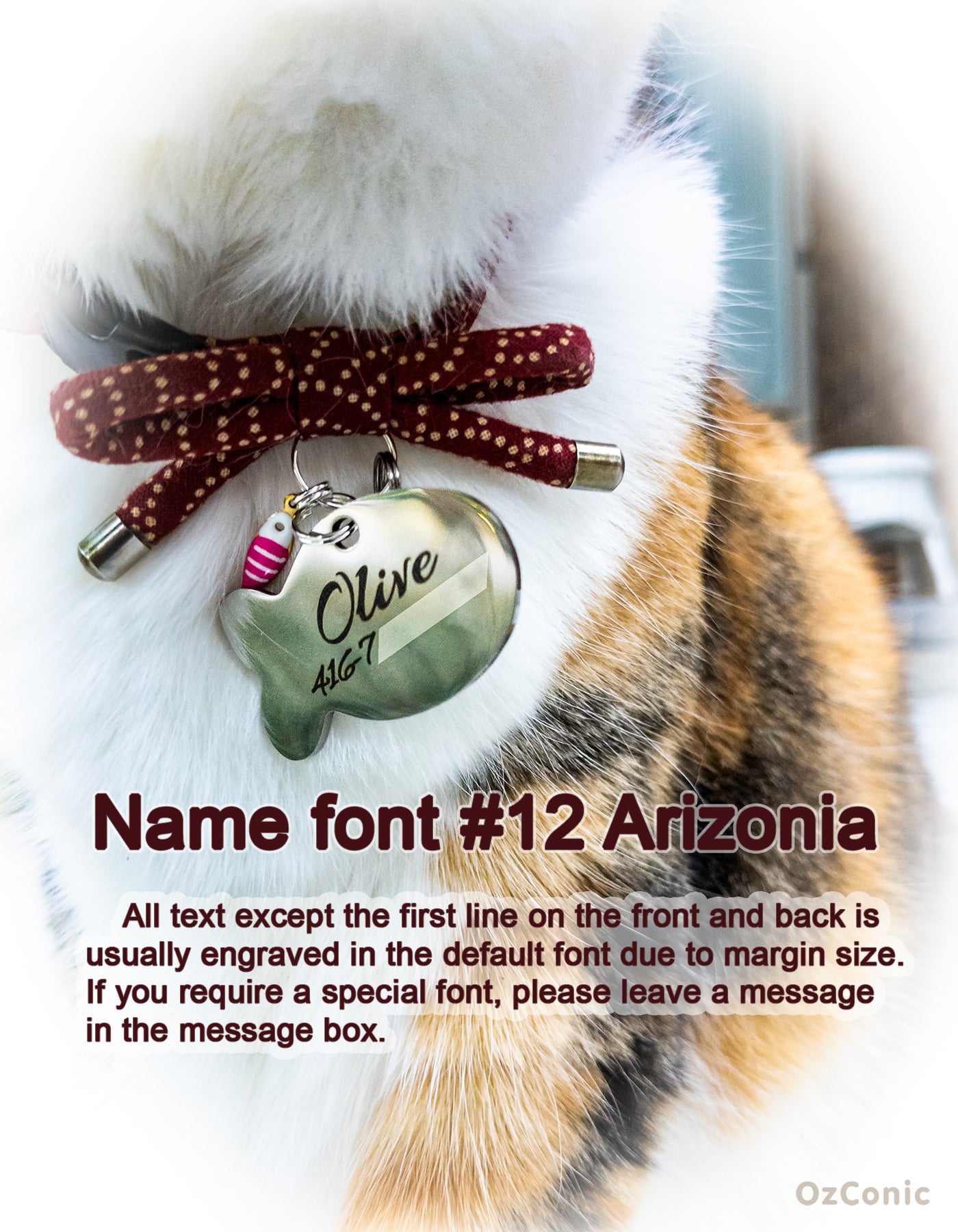 Personalized Cute Fish Shaped Charm Tag Pendant for You or Your Furry Friend